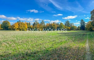 Field for sale, 197000m<sup>2</sup>