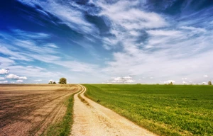 Building plot for rent, 10000m<sup>2</sup>