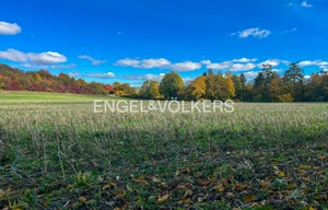 Field for sale, 197000m<sup>2</sup>