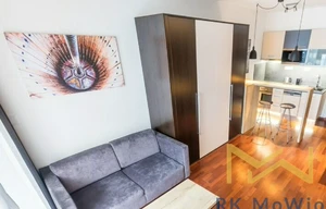 Apartment for rent, 1+KK - Studio, 30m<sup>2</sup>
