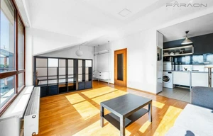Apartment for rent, 1+KK - Studio, 47m<sup>2</sup>