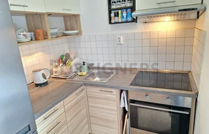 Apartment for rent, 2+kk - 1 bedroom, 55m<sup>2</sup>