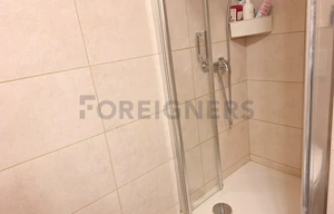 Apartment for rent, 2+kk - 1 bedroom, 55m<sup>2</sup>