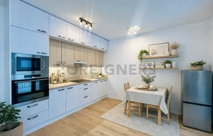 Apartment for rent, 1+KK - Studio, 41m<sup>2</sup>