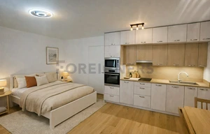 Apartment for rent, 1+KK - Studio, 41m<sup>2</sup>
