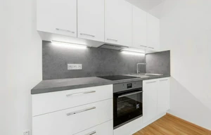 Apartment for rent, 1+KK - Studio, 36m<sup>2</sup>