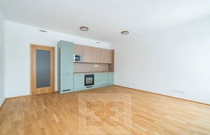 Apartment for rent, 1+KK - Studio, 42m<sup>2</sup>
