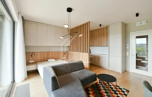Apartment for rent, 1+KK - Studio, 42m<sup>2</sup>