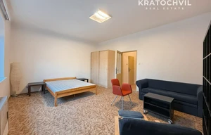 Apartment for rent, 1+KK - Studio, 42m<sup>2</sup>