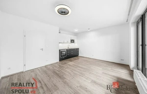 Apartment for rent, 1+KK - Studio, 43m<sup>2</sup>