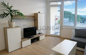 Apartment for rent, 1+KK - Studio, 32m<sup>2</sup>