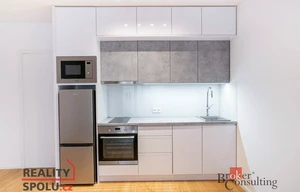 Apartment for rent, 1+KK - Studio, 36m<sup>2</sup>