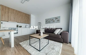 Apartment for rent, 2+kk - 1 bedroom, 62m<sup>2</sup>