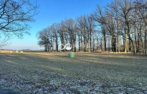 Field for sale, 2400m<sup>2</sup>