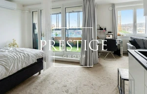 Apartment for rent, 1+KK - Studio, 46m<sup>2</sup>