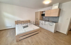 Apartment for rent, 1+KK - Studio, 25m<sup>2</sup>