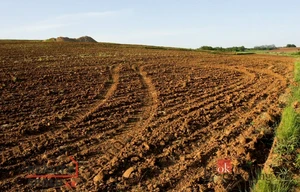 Field for sale, 46553m<sup>2</sup>