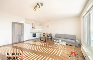 Apartment for rent, 1+KK - Studio, 39m<sup>2</sup>