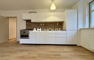 Apartment for rent, 2+kk - 1 bedroom, 50m<sup>2</sup>