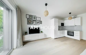 Apartment for rent, 2+kk - 1 bedroom, 49m<sup>2</sup>