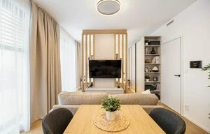 Apartment for rent, 1+KK - Studio, 53m<sup>2</sup>