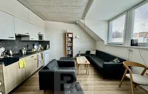 Apartment for rent, 1+KK - Studio, 38m<sup>2</sup>