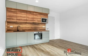 Apartment for rent, 1+KK - Studio, 29m<sup>2</sup>