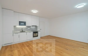 Apartment for rent, 1+KK - Studio, 43m<sup>2</sup>