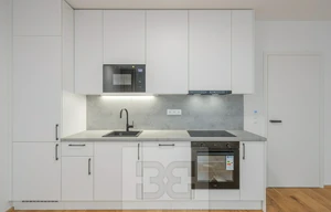 Apartment for rent, 1+KK - Studio, 43m<sup>2</sup>