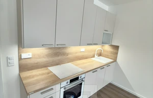 Apartment for rent, 2+kk - 1 bedroom, 51m<sup>2</sup>