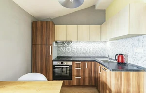 Apartment for rent, 2+kk - 1 bedroom, 60m<sup>2</sup>