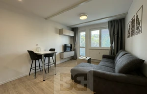 Apartment for rent, 1+KK - Studio, 30m<sup>2</sup>
