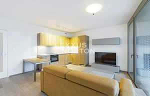 Apartment for rent, 1+KK - Studio, 38m<sup>2</sup>