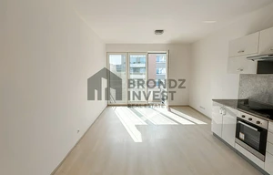 Apartment for rent, 1+KK - Studio, 34m<sup>2</sup>