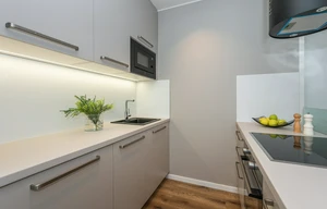 Apartment for rent, 2+kk - 1 bedroom, 55m<sup>2</sup>