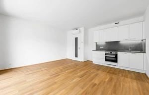 Apartment for rent, 1+KK - Studio, 33m<sup>2</sup>