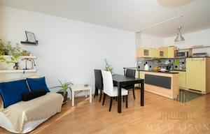 Apartment for rent, 1+KK - Studio, 47m<sup>2</sup>