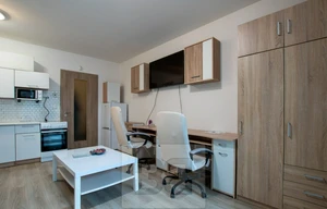 Apartment for rent, 1+KK - Studio, 31m<sup>2</sup>