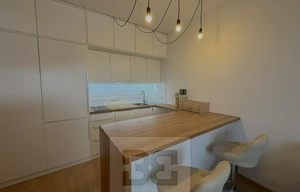 Apartment for rent, 1+KK - Studio, 38m<sup>2</sup>