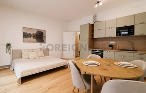 Apartment for rent, 1+KK - Studio, 34m<sup>2</sup>