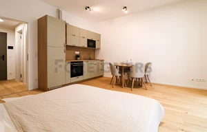 Apartment for rent, 1+KK - Studio, 34m<sup>2</sup>