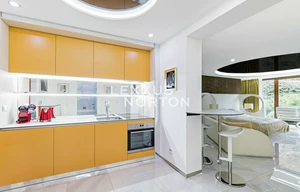 Apartment for rent, 1+KK - Studio, 53m<sup>2</sup>