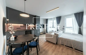 Apartment for rent, 1+KK - Studio, 34m<sup>2</sup>