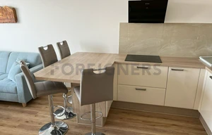 Apartment for rent, 2+kk - 1 bedroom, 54m<sup>2</sup>