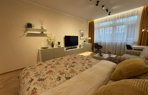 Apartment for rent, 1+KK - Studio, 36m<sup>2</sup>