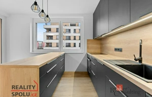 Apartment for rent, 2+kk - 1 bedroom, 50m<sup>2</sup>