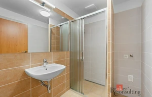 Apartment for rent, 2+kk - 1 bedroom, 50m<sup>2</sup>