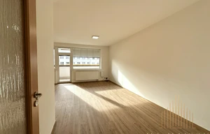 Apartment for rent, 1+KK - Studio, 36m<sup>2</sup>