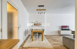 Apartment for rent, 1+KK - Studio, 51m<sup>2</sup>