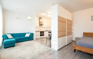 Apartment for rent, 1+KK - Studio, 44m<sup>2</sup>